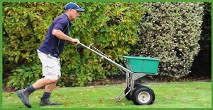 lawn care auckland